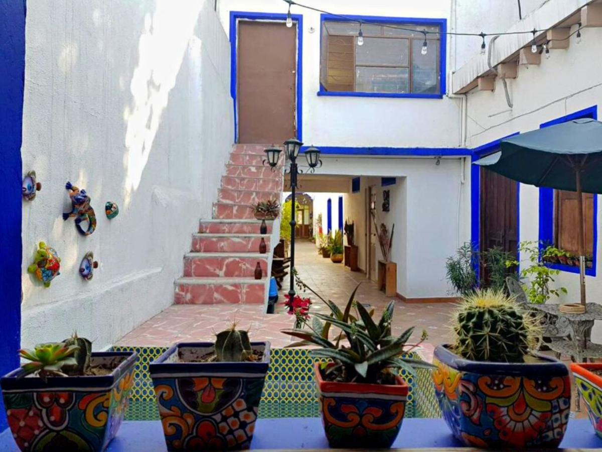 Ikali Hostel Monterrey Luaran gambar
